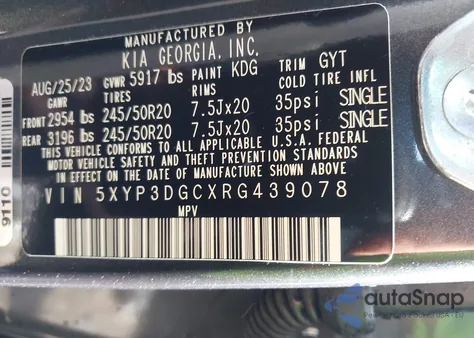 2024 Kia Telluride Ex from USA, damaged, VIN 5XYP3DGCXRG439078